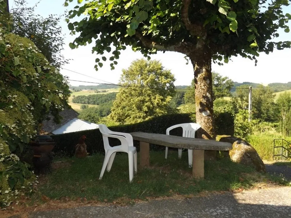 Charmante Maison De Campagne Avec Terrasse, Cheminee Et Jardin, Animaux Acceptes, Pres Des Monts Du Cantal. - Fr-1-742-33 Ladinhac Holiday home